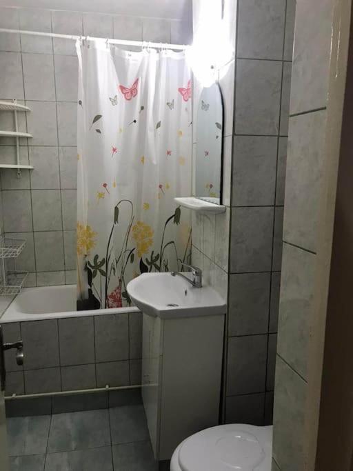 Apartament Confortabil Piteşti Exterior foto